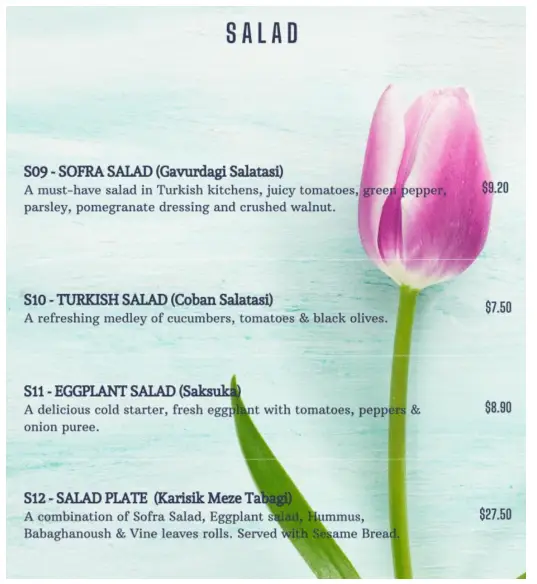 Turkish Kebab Singapore Salad Menu Price